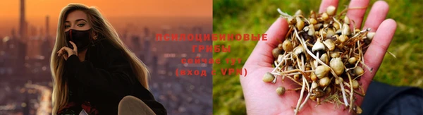 COCAINE Покров