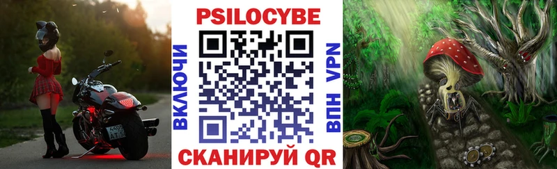 купить закладку  Шумерля  Галлюциногенные грибы мицелий 